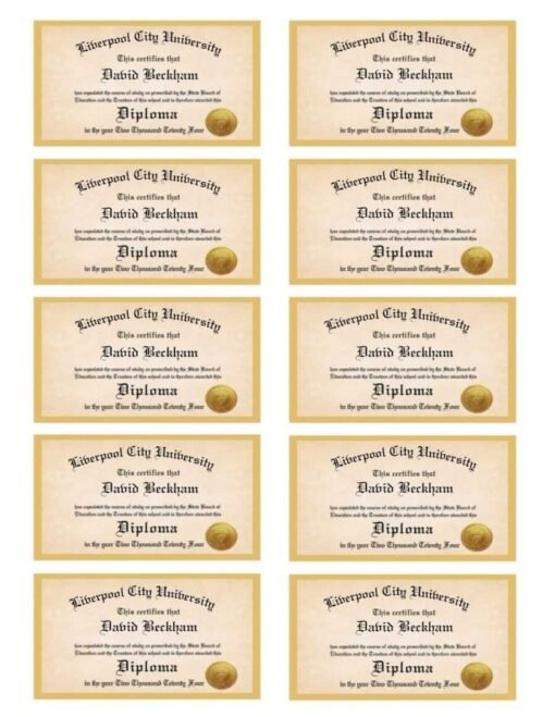 Personalized Large Edible Graduation Diplomas Cupcake Toppers Set of 10